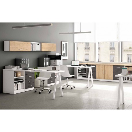 ESTUDIO LIDER 274