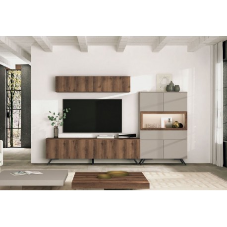 COMPOSICION SALONES AUSTRAL 19