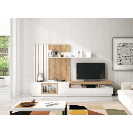 COMPOSICION SALONES AUSTRAL 11