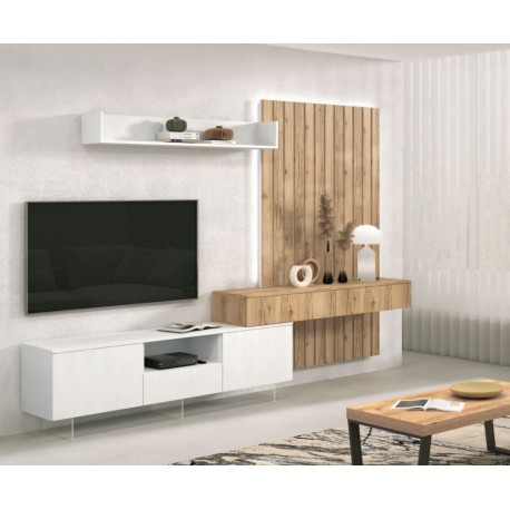 COMPOSICION SALONES AUSTRAL 04