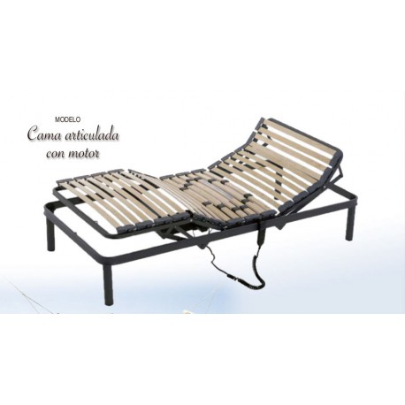 CAMA ARTICULADA MOTOR